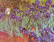 Vincent Van Gogh Irises Sweden oil painting reproduction